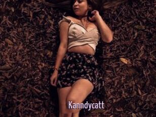 Kanndycatt