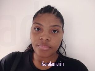 Karalamarin