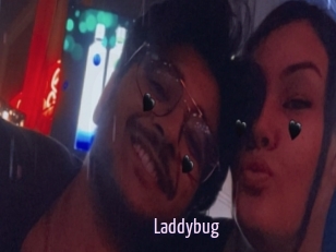 Laddybug