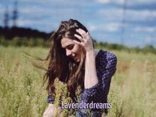 Lavenderdreams