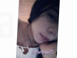 LittleflowerTS