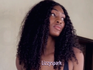 Lizzyspark