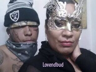 lovendbud Anal Dilatation