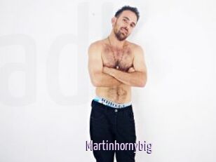 Martinhornybig