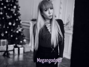 Megangodnes