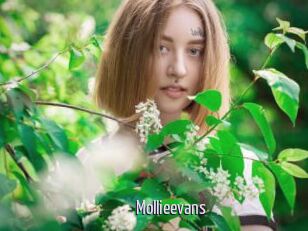 Mollieevans