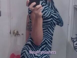 Naughtyniceness