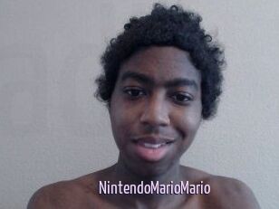 NintendoMarioMario