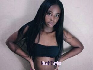 NoahTaylor