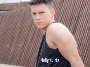 Neilgaviria