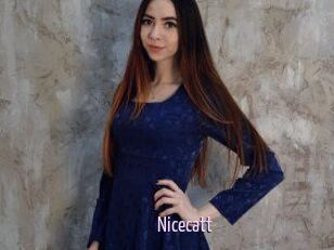 Nicecatt