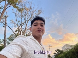 Noahkarter