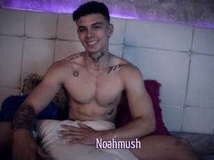 Noahmush