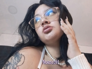 noascott Anal Dilatation