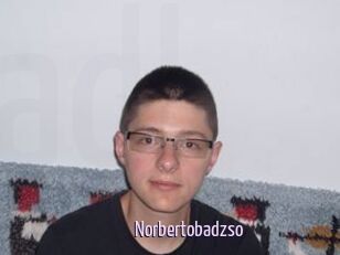 Norbertobadzso