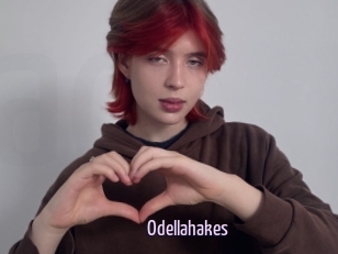 Odellahakes