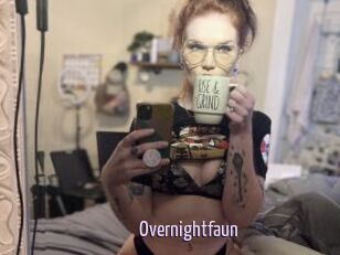 Overnightfaun