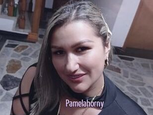 Pamelahorny