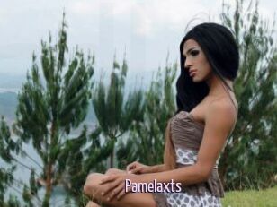 Pamelaxts