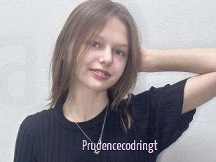 Prudencecodringt