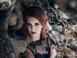 Pupfox