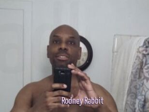 Rodney_Rabbit