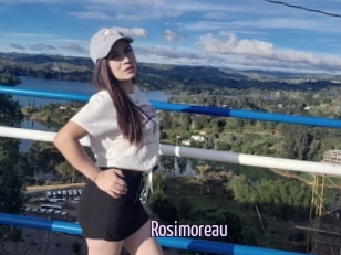 Rosimoreau