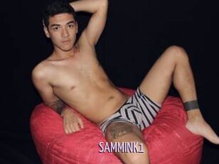 SAMMINK1