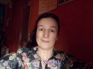 Sandy43