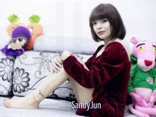 SandyJun