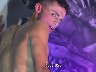 Scotrose