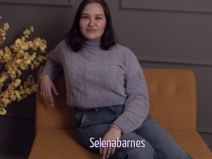 Selenabarnes