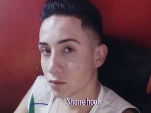 Shane_hook