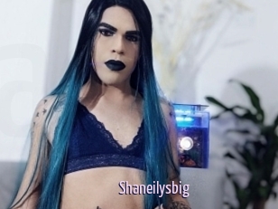 Shaneilysbig