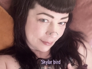 Skylar_bird