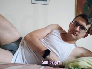 Sonicegay