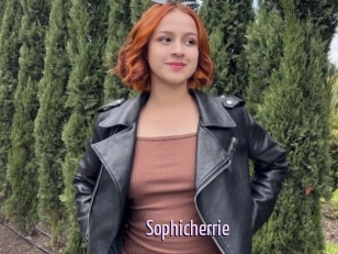 Sophicherrie