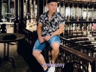 Stevebunny