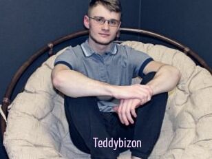 Teddybizon