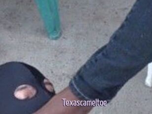 Texascameltoe