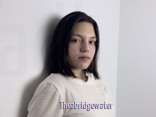 Theabridgewater