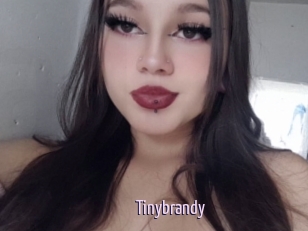 Tinybrandy