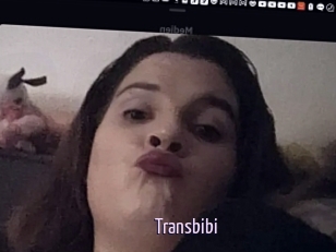 Transbibi