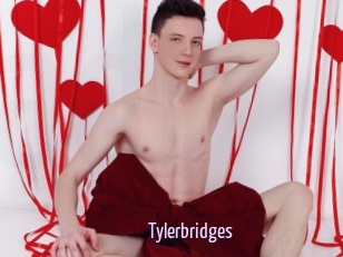 Tylerbridges