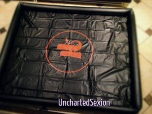 UnchartedSexion