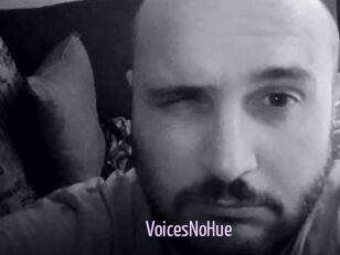 VoicesNoHue