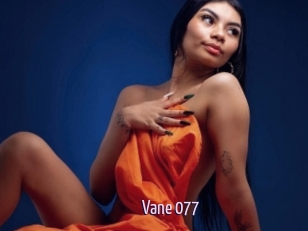 Vane_077