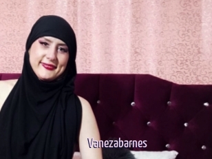 Vanezabarnes