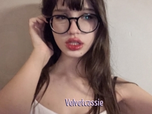 Velvetcassie