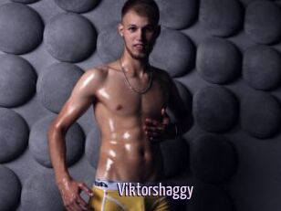 Viktorshaggy